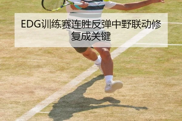 EDG训练赛连胜反弹中野联动修复成关键